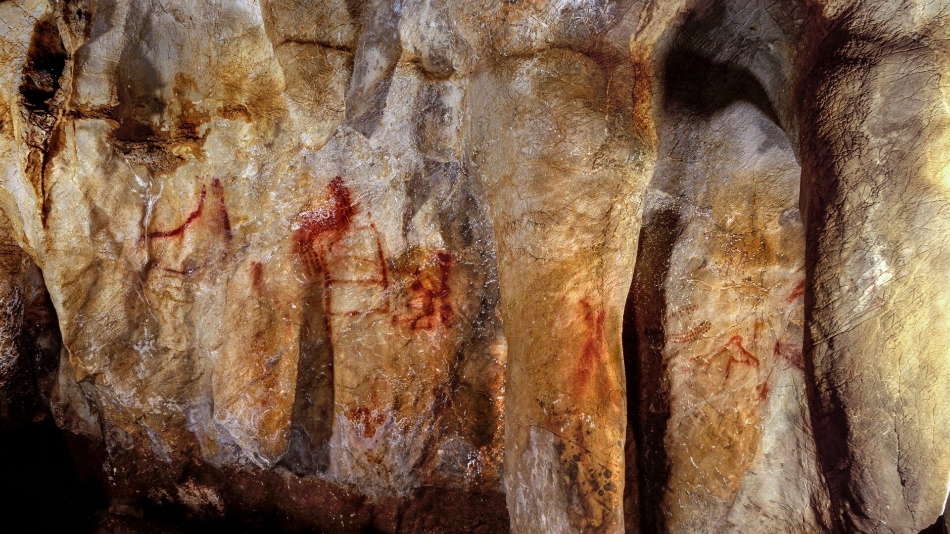 La Pasiega, section C, mur de grotte avec peintures. Les lignes verticales et horizontales rouges remontent à 64 000 ans et ont presque certainement peintes  par Les Néandertaliens. (Image : P. Saura)