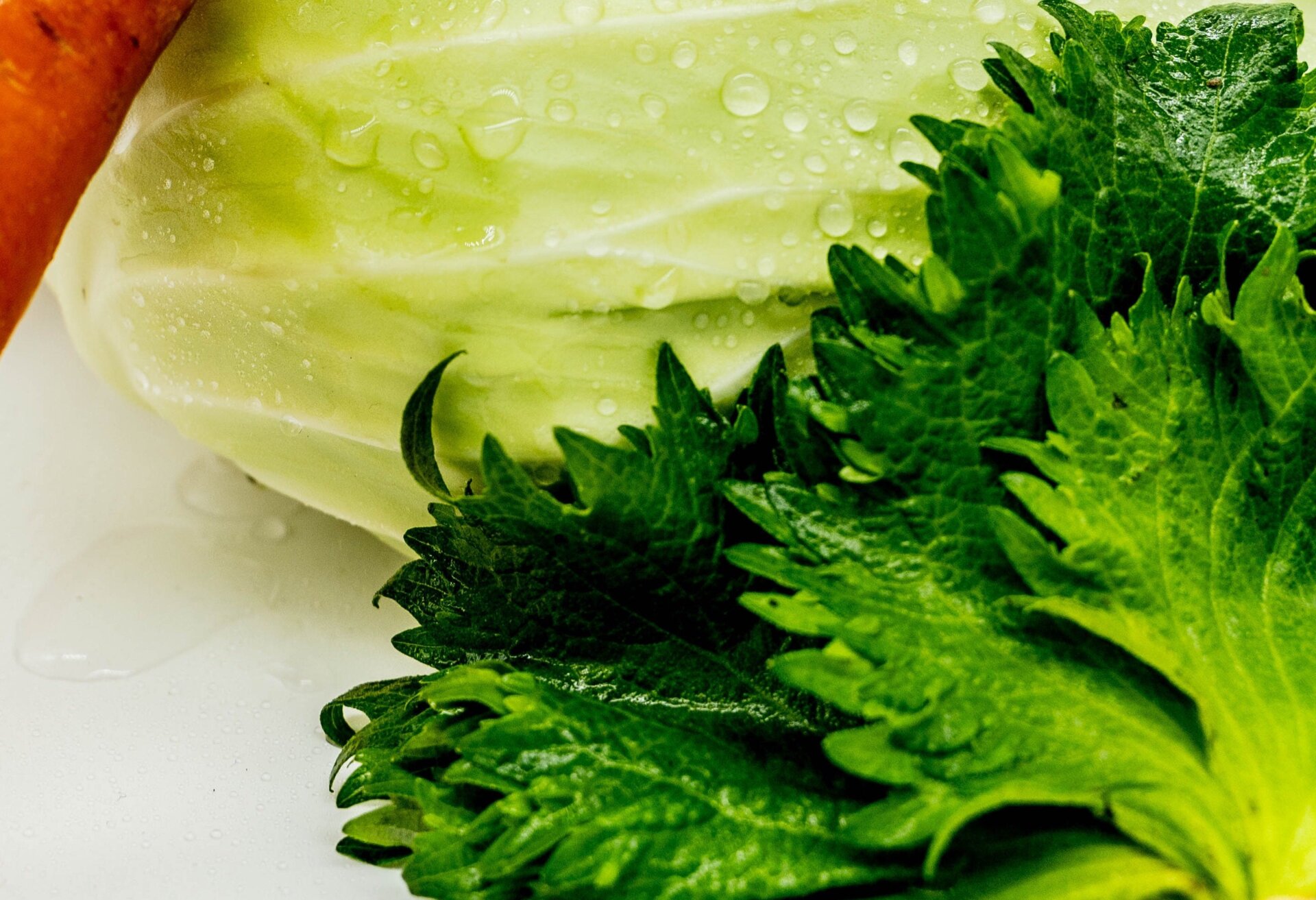 La périlla est souvent utilisée dans les cuisines de plusieurs pays asiatiques. C’est également une salade verte. 
