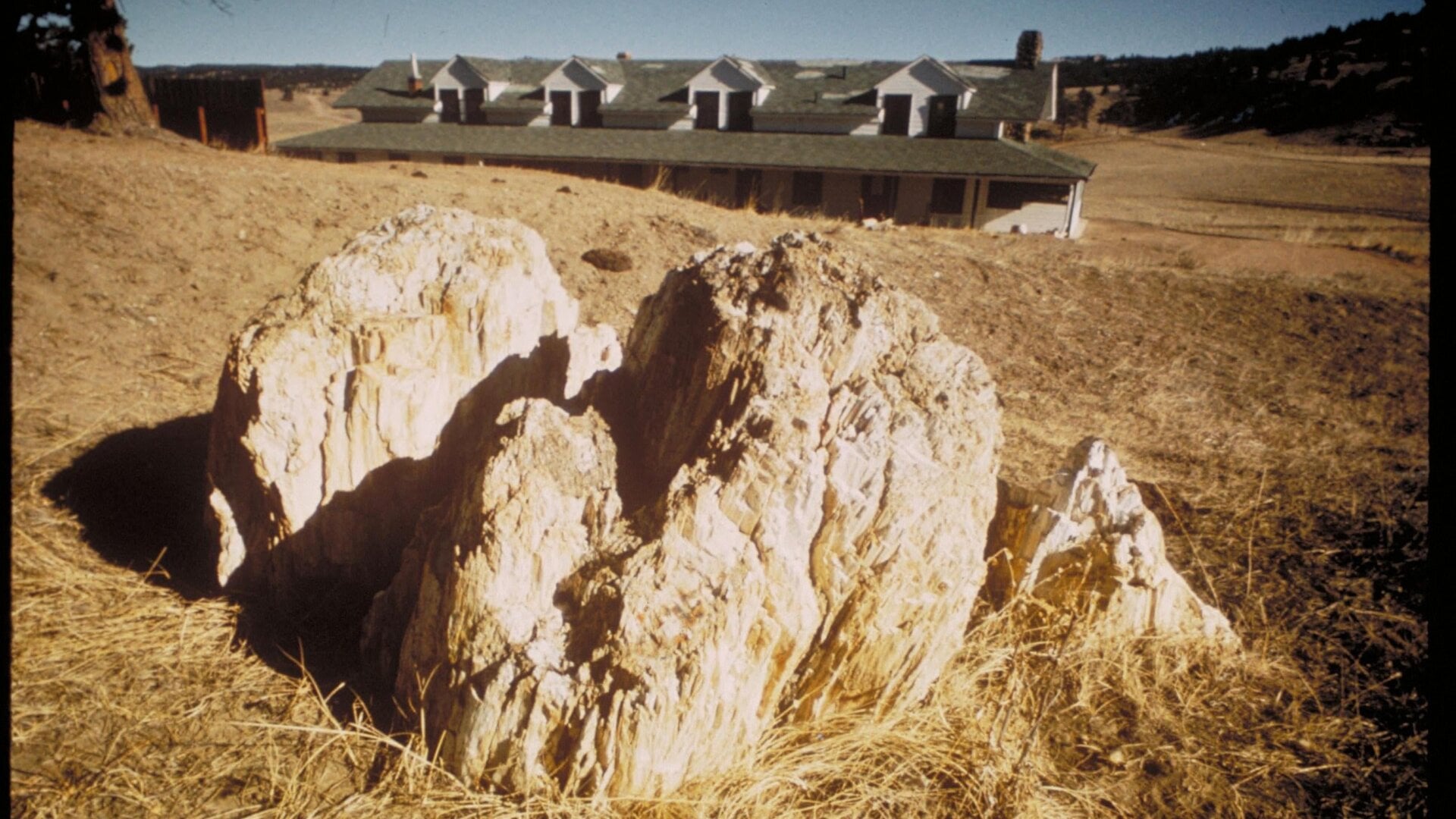 Une souche de séquoia pétrifiée au monument national.