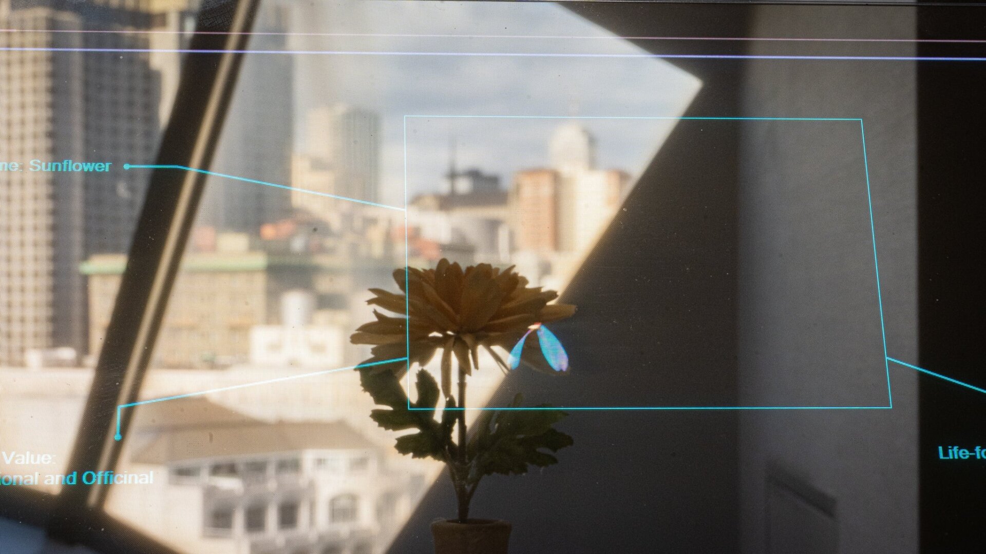 Le Lenovo ThinkBook transparent a l’IA intégrée pour faire des choses soignées et presque pratiques avec l’interface. C’est censé être être  un papillon numérique perché sur le pétale de fleur. 