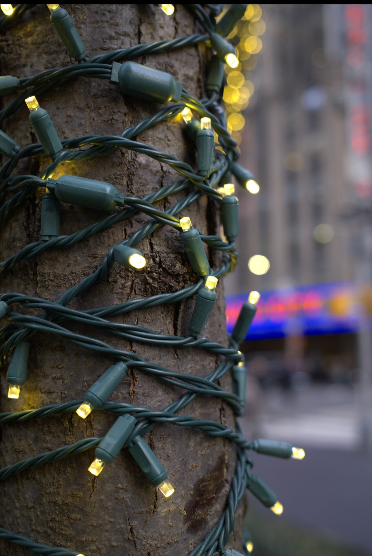 Photo: Artem Golub / Gizmodo