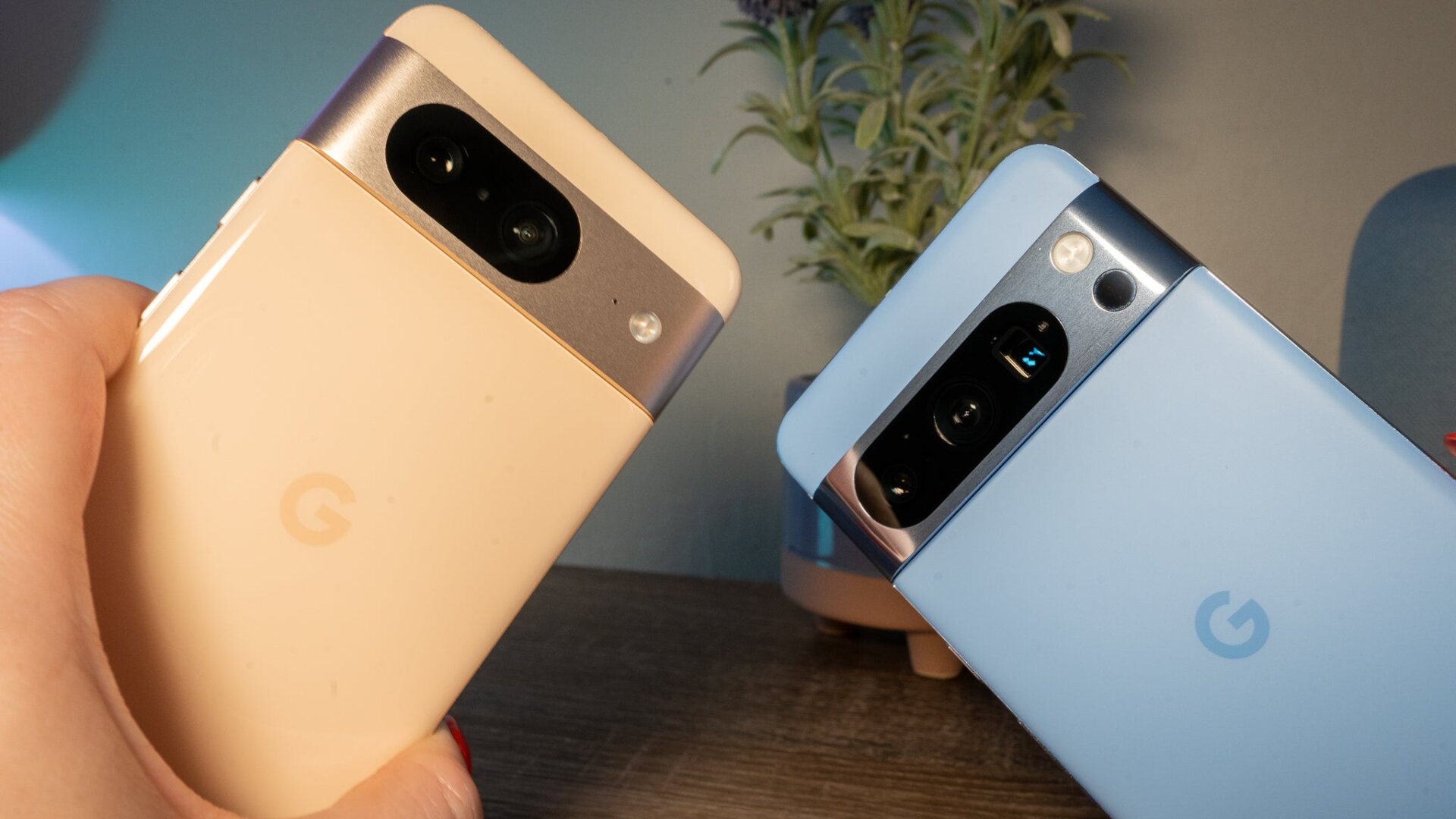 Le Pixel 8 en blush (à gauche) et le Pixel 8 Pro en baie (à droite).