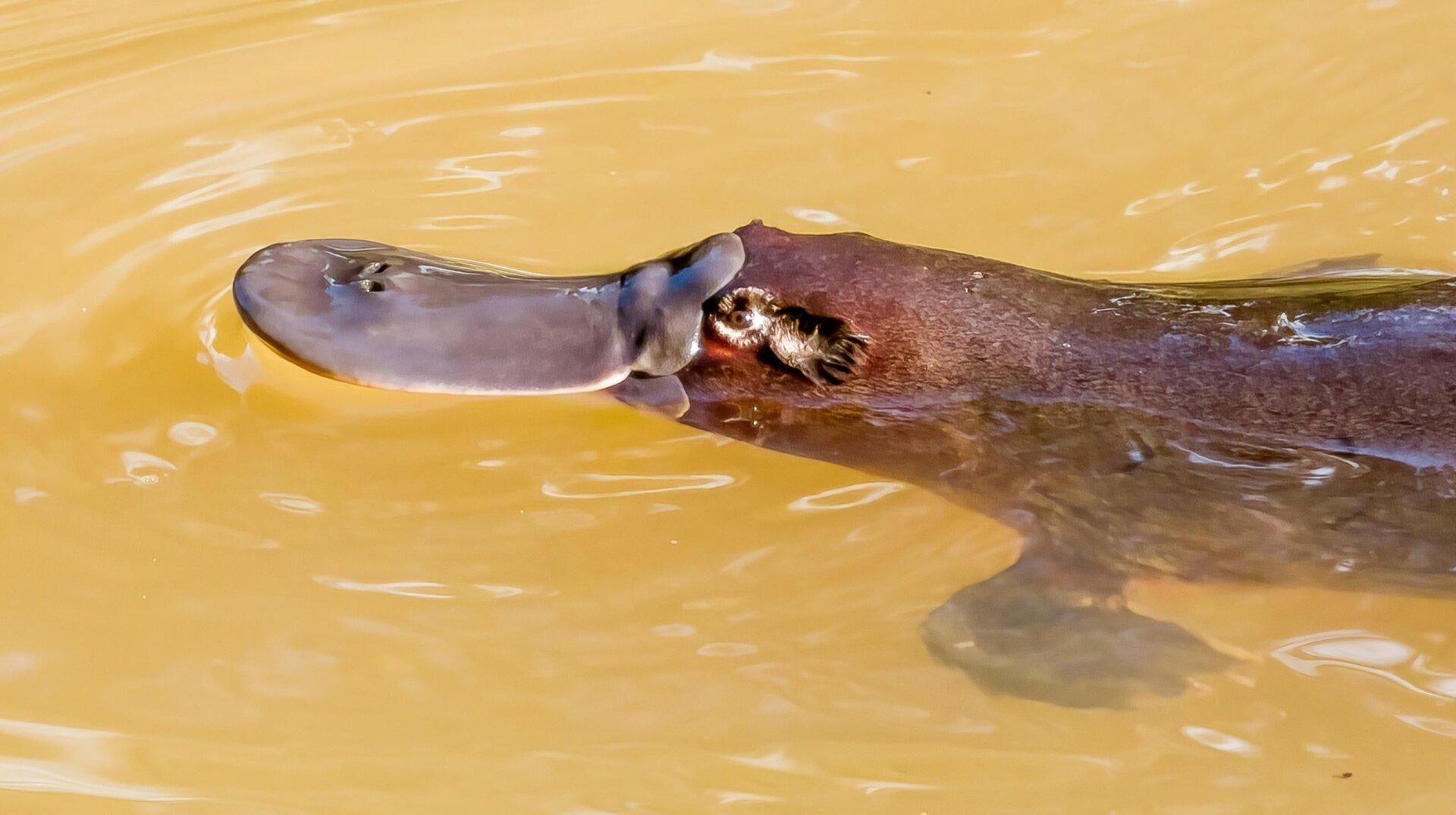 Photo: Imogen Warren