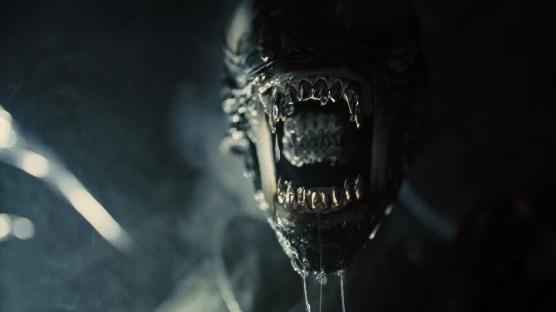 La franchise Alien est de retour.