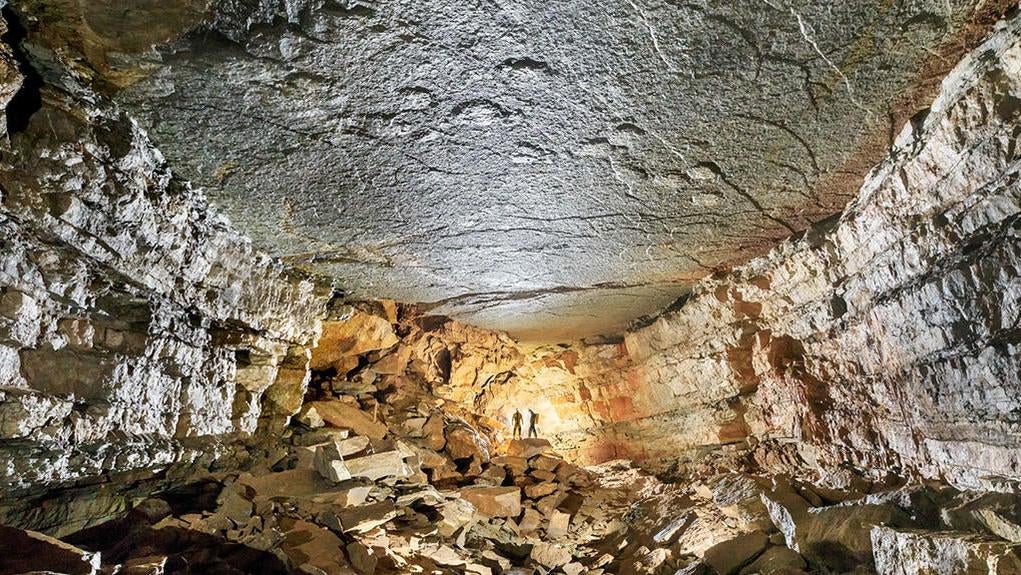 Photo: Rémi Flament/Journal of Vertabrate Paleontology