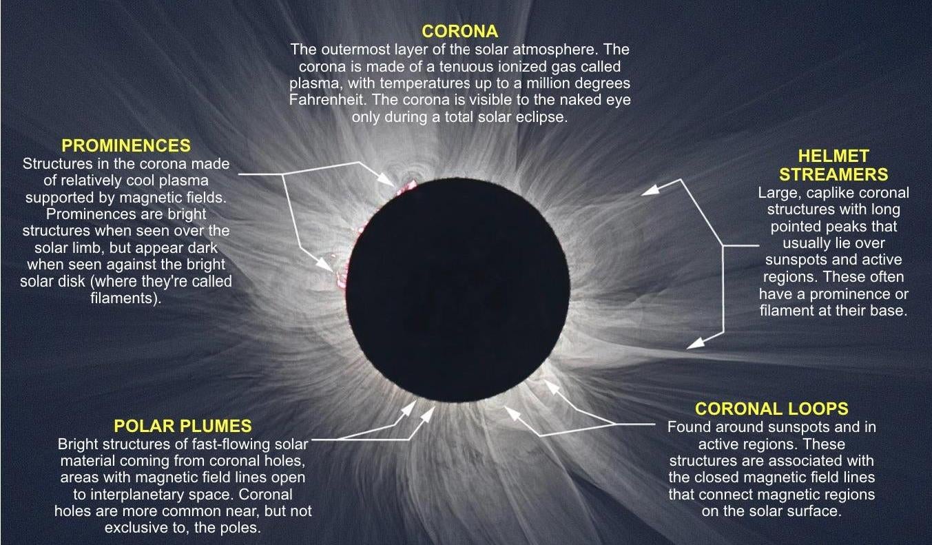 Une image composite de la NASA hautement traitée montrant certaines des caractéristiques de la couronne solaire. 