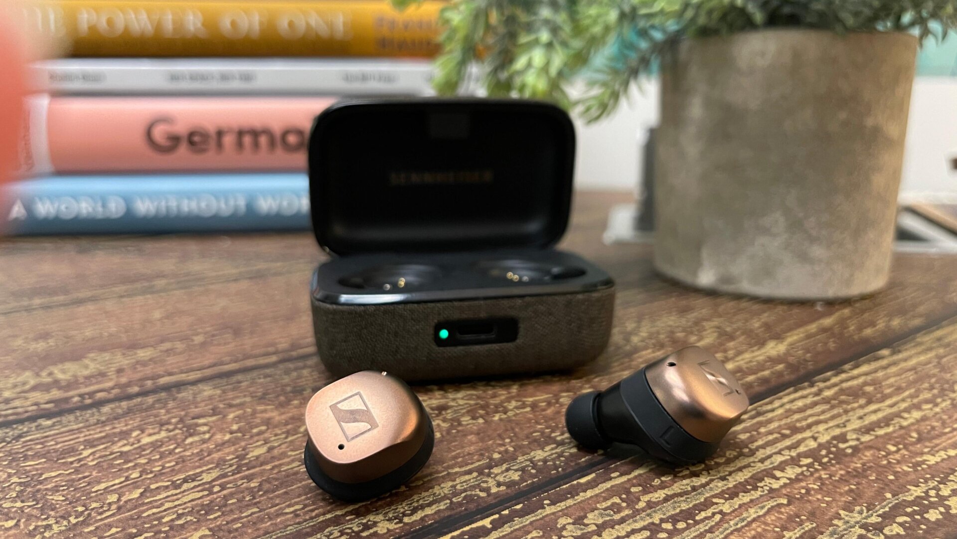 Photo: Dua Rashid / Gizmodo