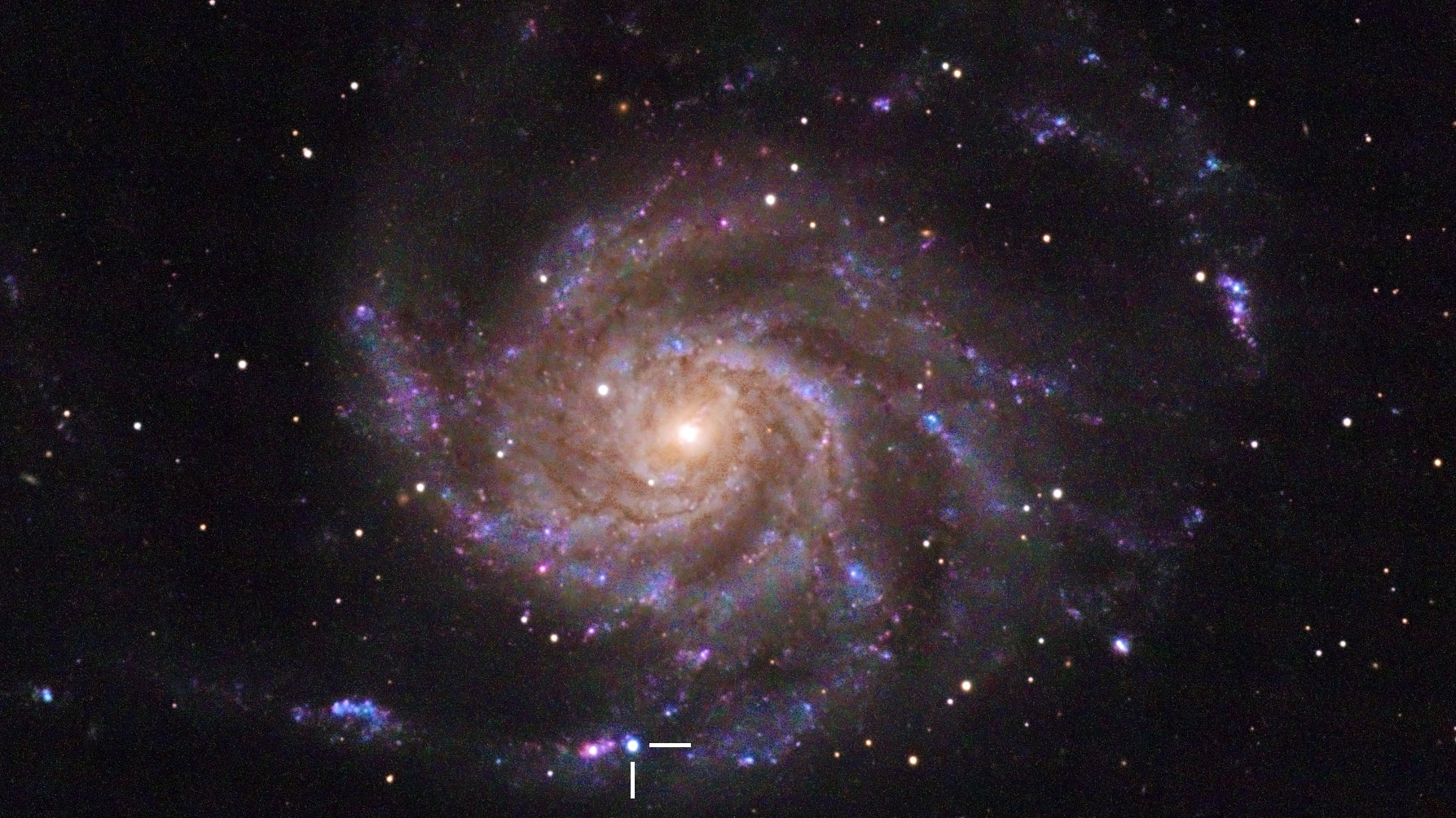 La galaxie Pinwheel, avec la supernova SN 2023ixf soulignée par un point bleu vif en bas.