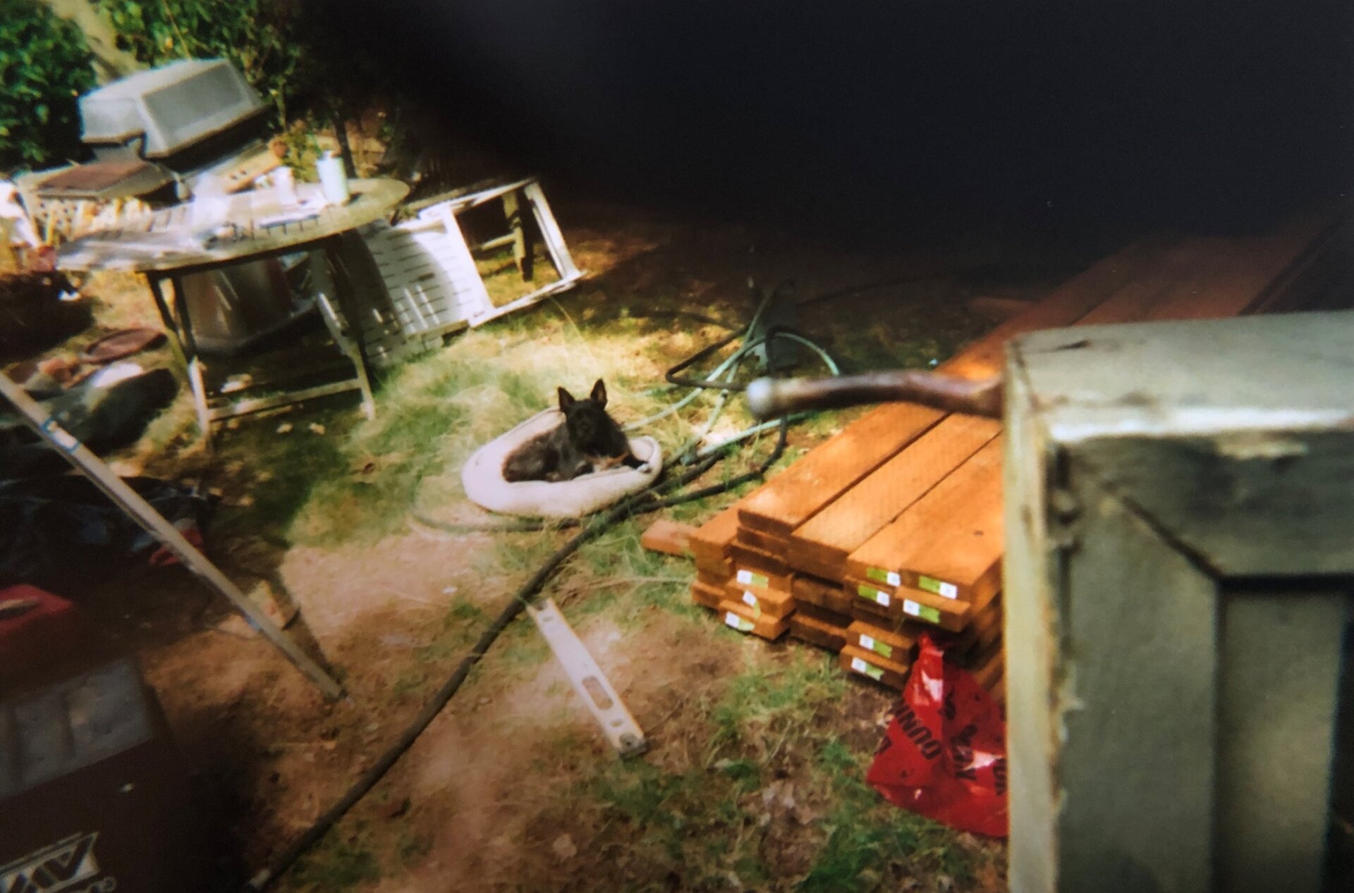 Photo: Garland-Lewis et al., 2024, PLOS ONE, CC-BY 4.0