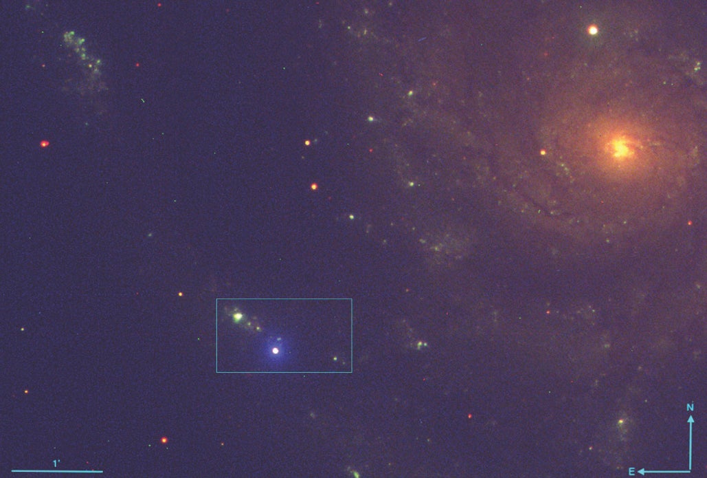Une image composite prise avec le télescope de Liverpool montrant la supernova (bleu vif).