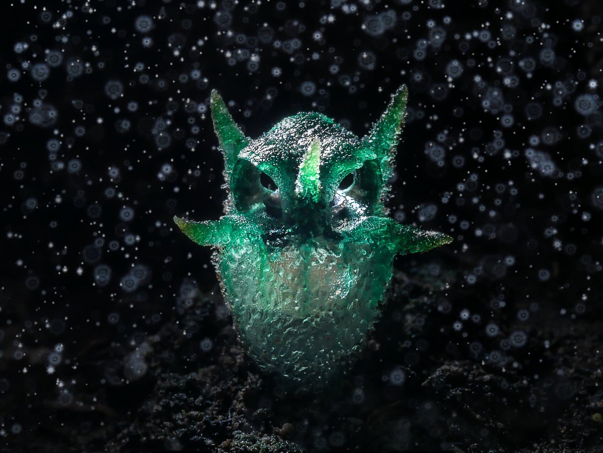 Photo: Chatree Lertsintanakom