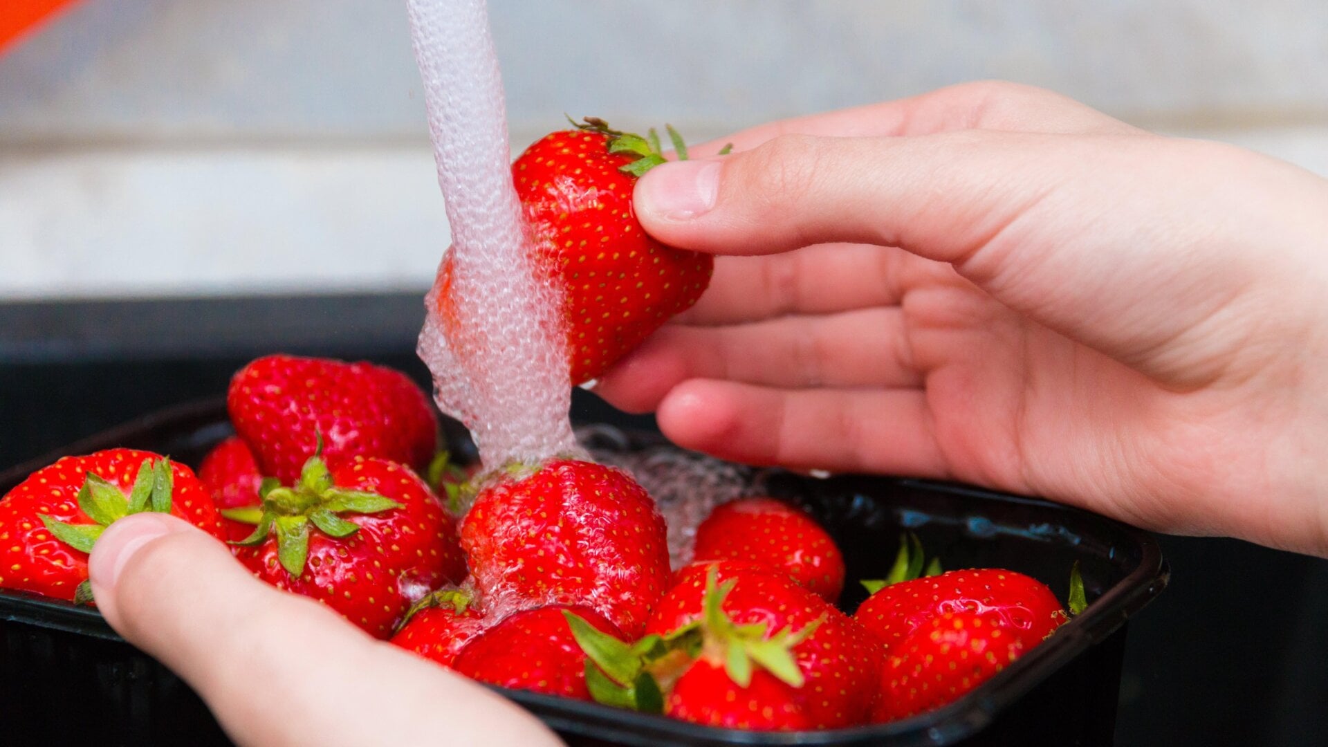 Des fraises lavées sous l’eau courante.