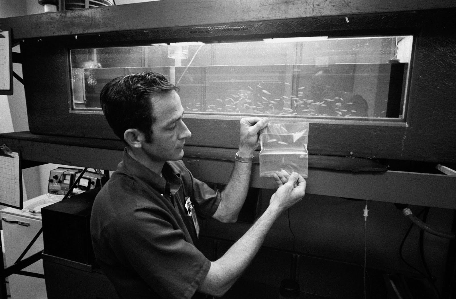 Le scientifique John Boyd tient un sac de deux vairons momichog qui sont devenus le premier poisson dans l’espace dans le cadre de la mission Skylab 3, en juillet jusqu’en septembre 1973.