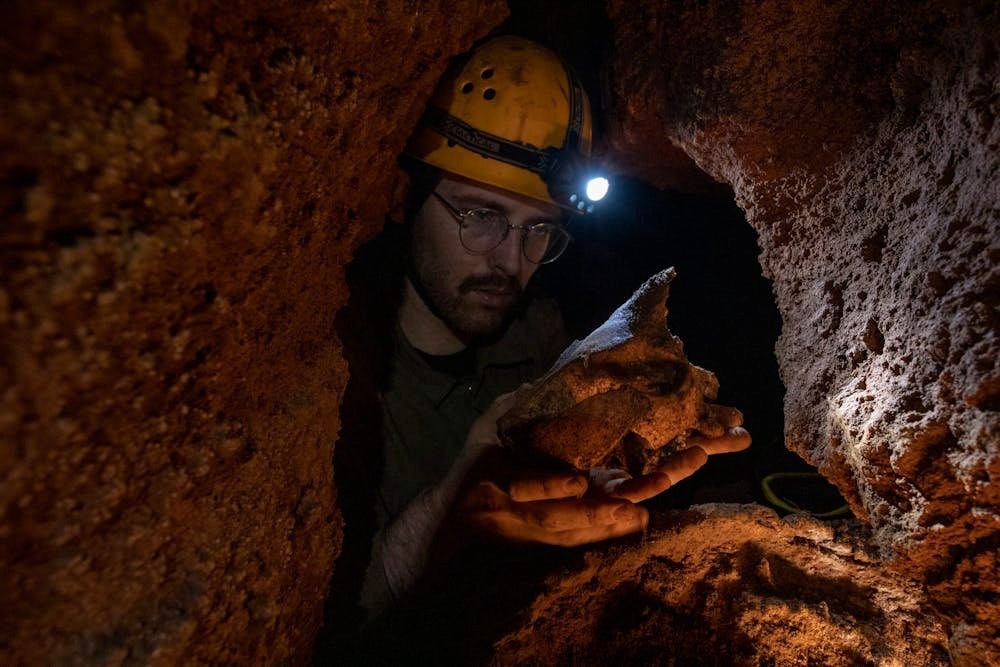 Tim Ziegler récupère des os fossiles de la grotte Nightshade.