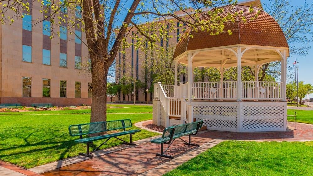 Image: Patricia Elaine Thomas