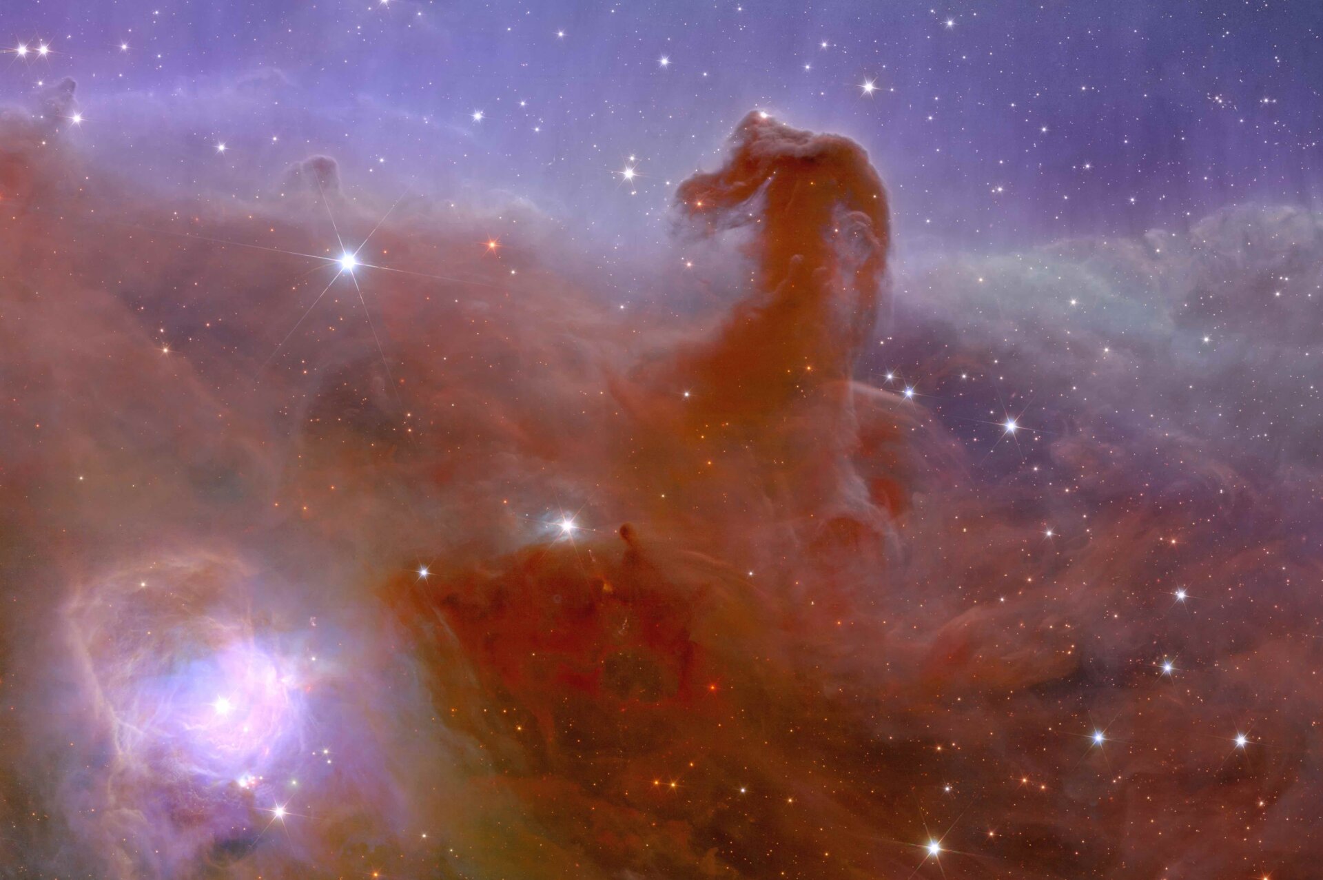 Le télescope Euclide a capturé cette vue de la nébuleuse de la Tête de Cheval en 2023. 