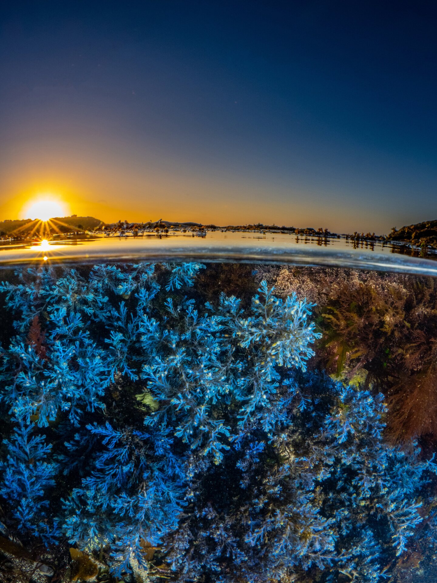 Photo: Martin Stevens