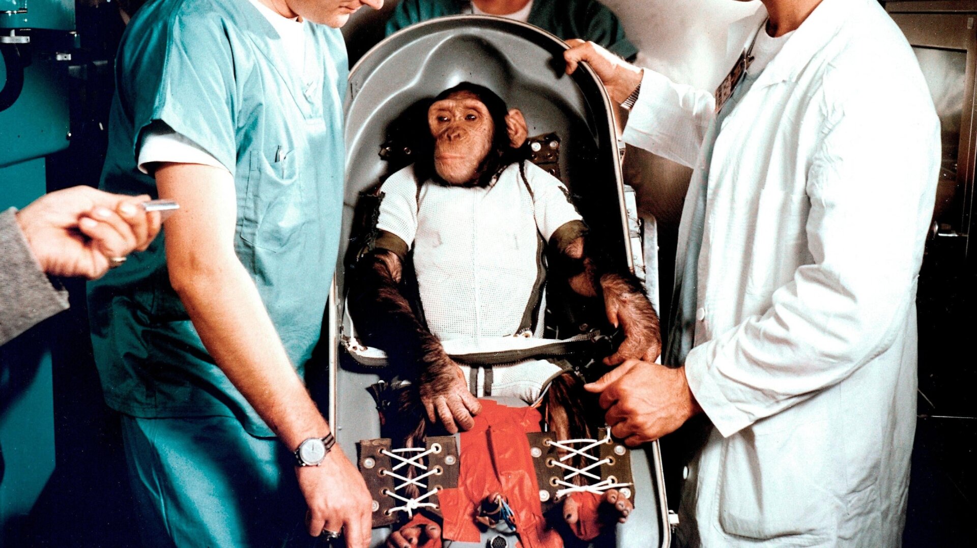 Ham le chimpanzé juvénile avec des  dresseurs à Cape Canaveral, en Floride, le 31 janvier 1961.