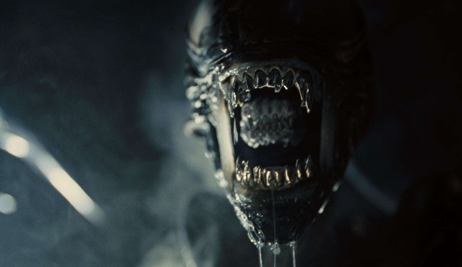 Extraterrestre&nbsp;: Romulus