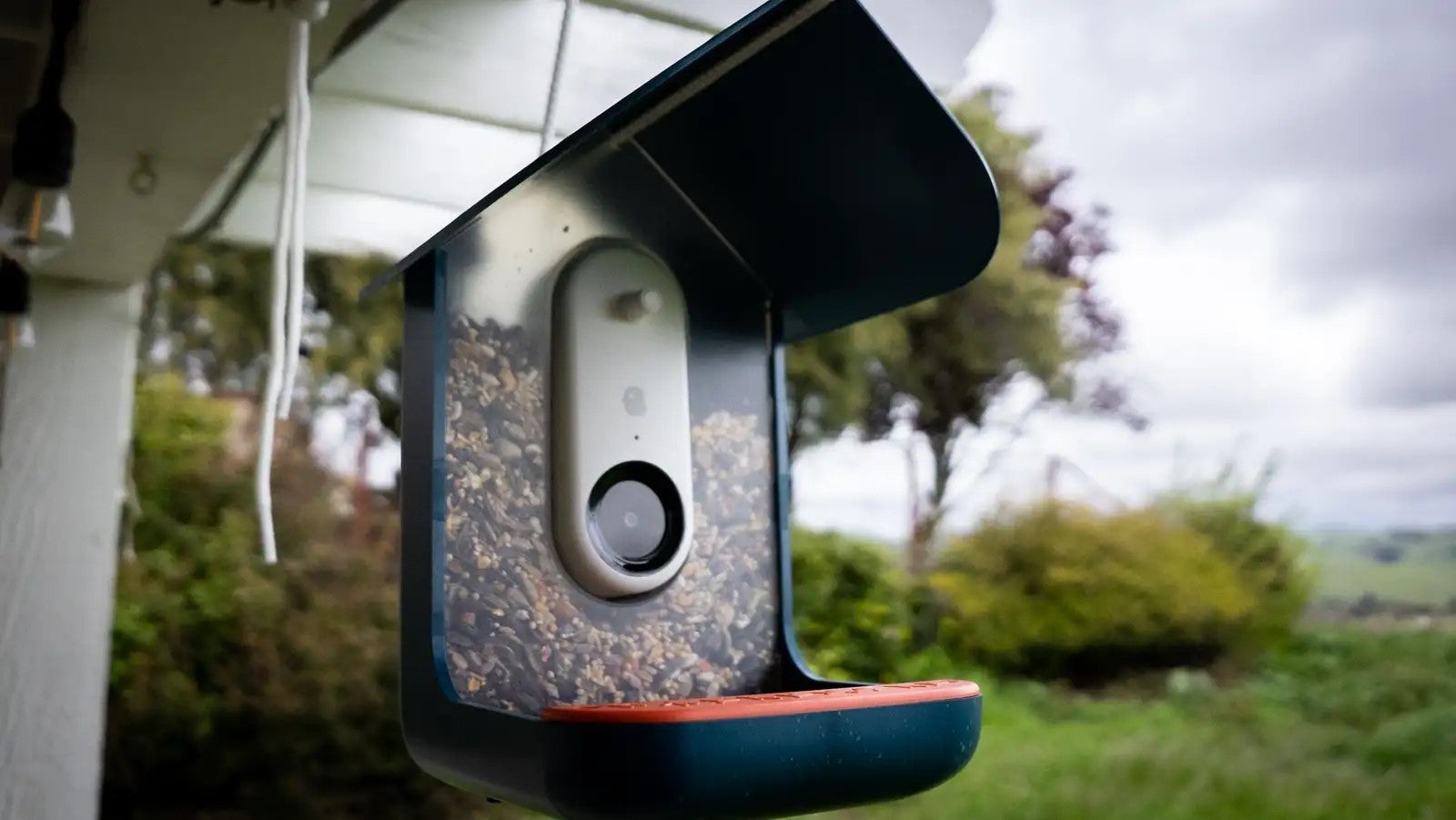 Photo: Florence Ion / Gizmodo