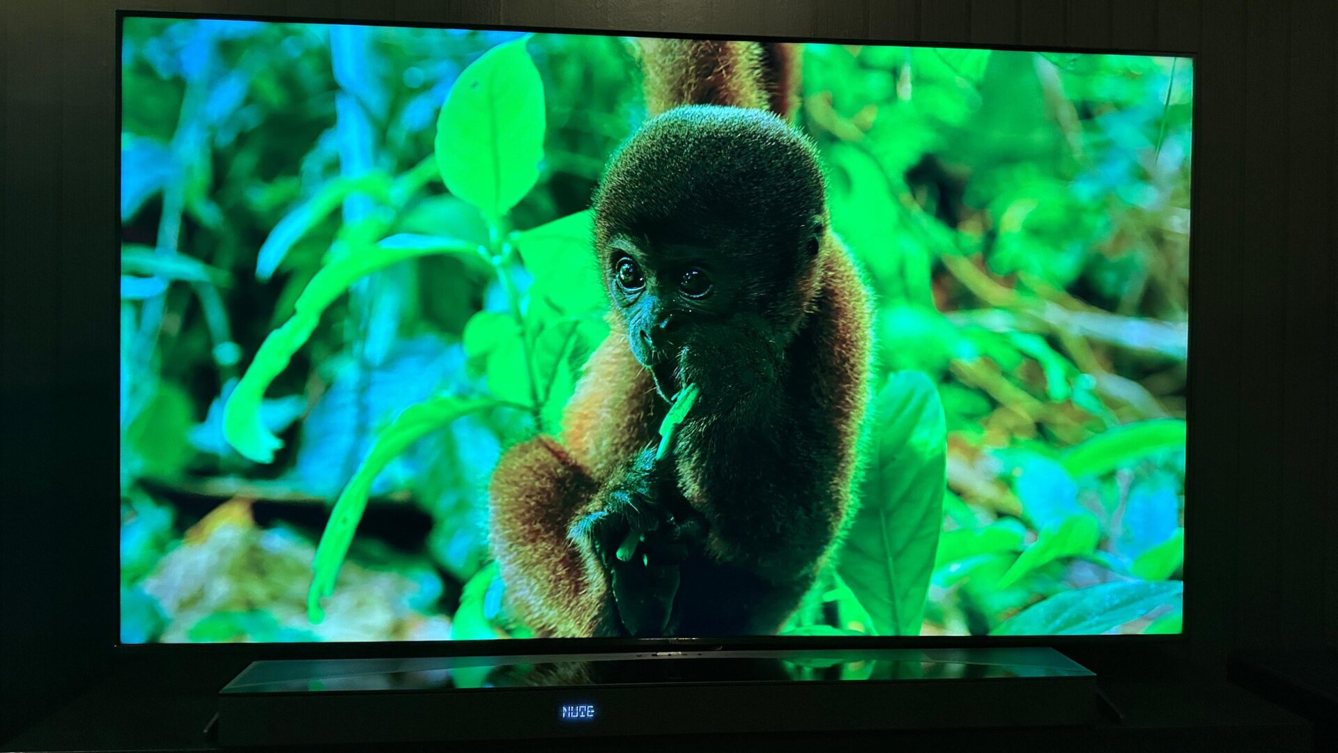 À première vue, le S5 de TCL offre l’un des meilleurs rapport qualité-prix sur la ligne directe de téléviseurs LED de TCL.