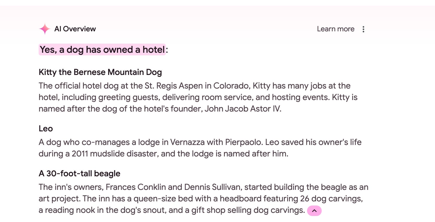 Screenshot: Lucas Ropek/Google