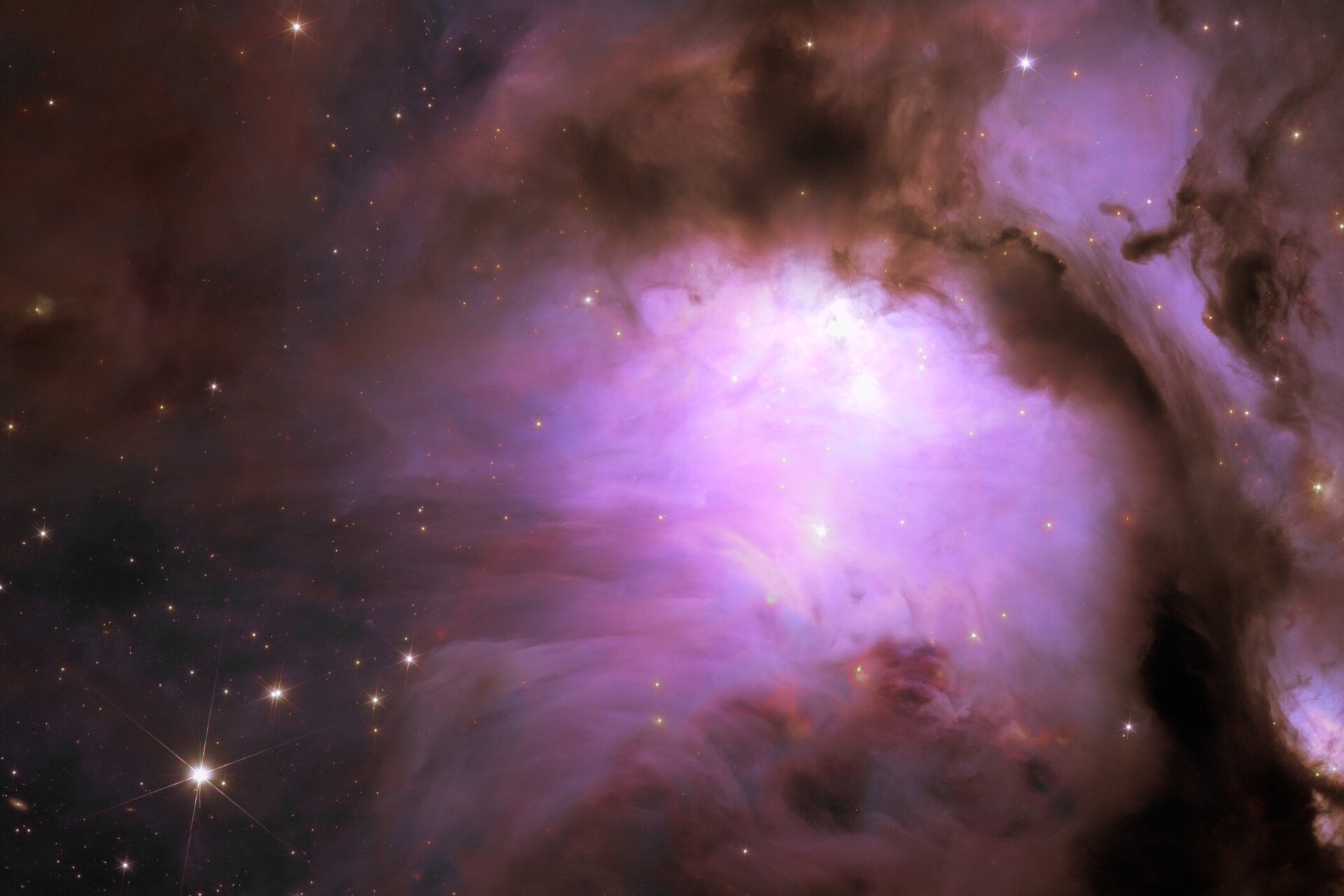 Un gros plan de la crèche stellaire Messier 78.