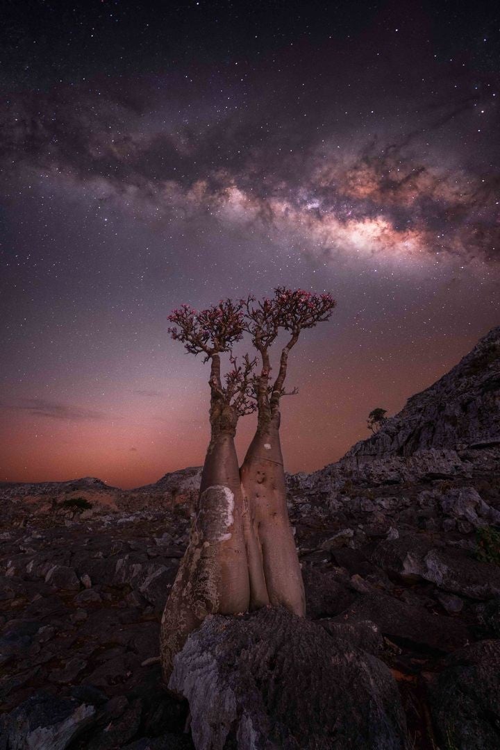 Photo: Rositsa Dimitrova