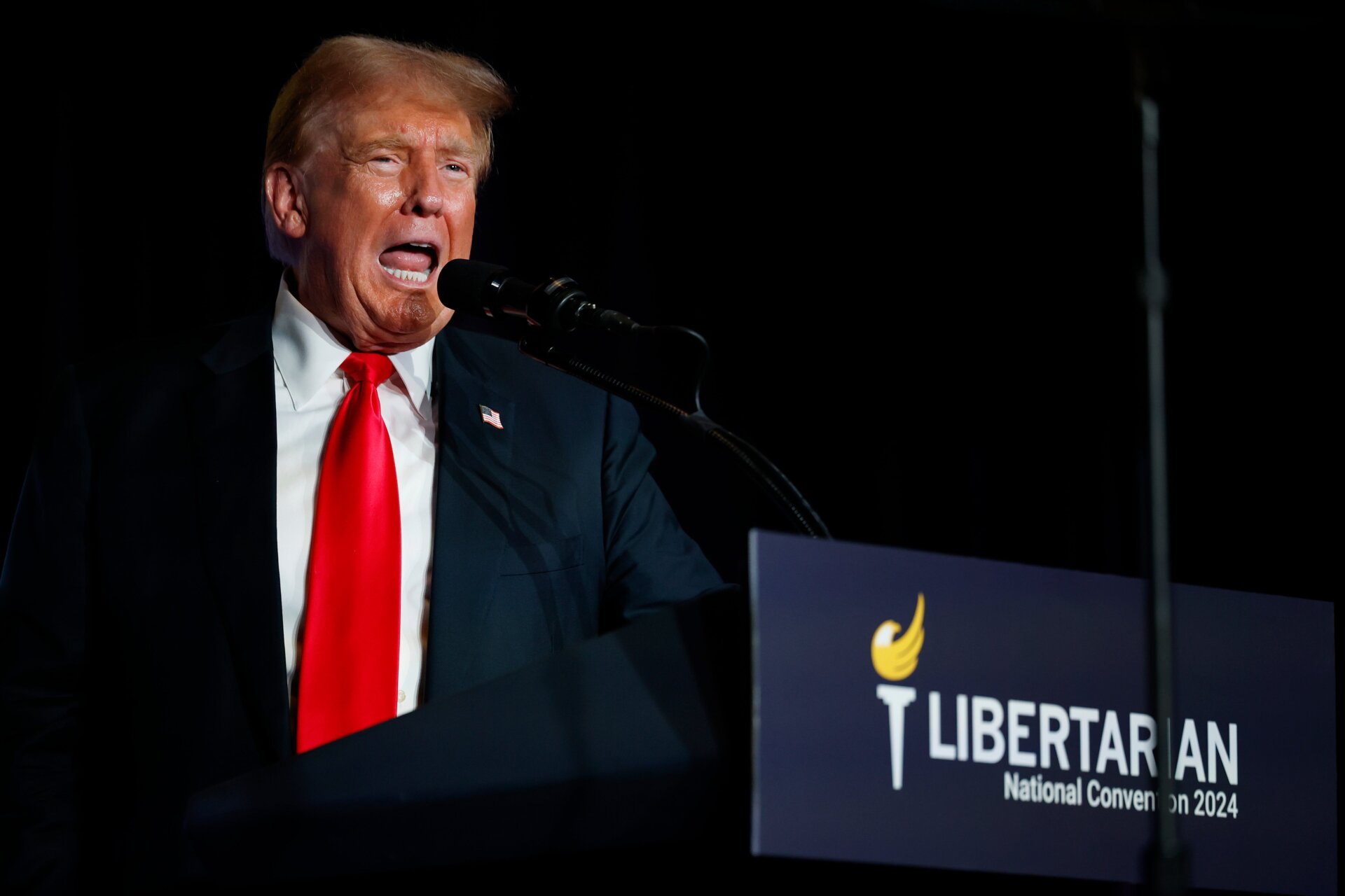 Donald Trump s’exprimant à la Convention nationale du Parti libertaire le 25 mai 2024 à Washington, DC.