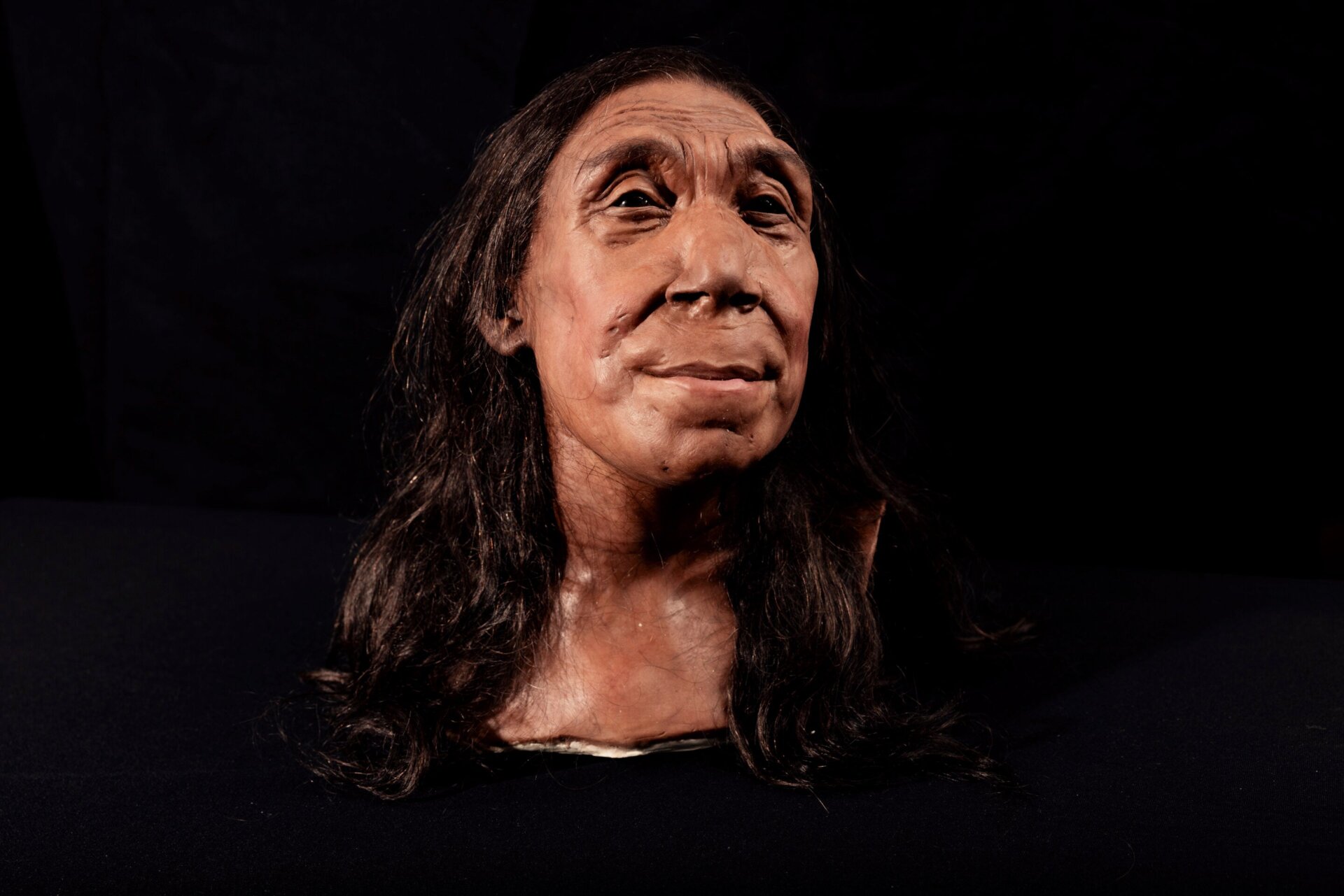 Le visage reconstruit de Shanidar Z, basé sur l’analyse du crâne par l’équipe.