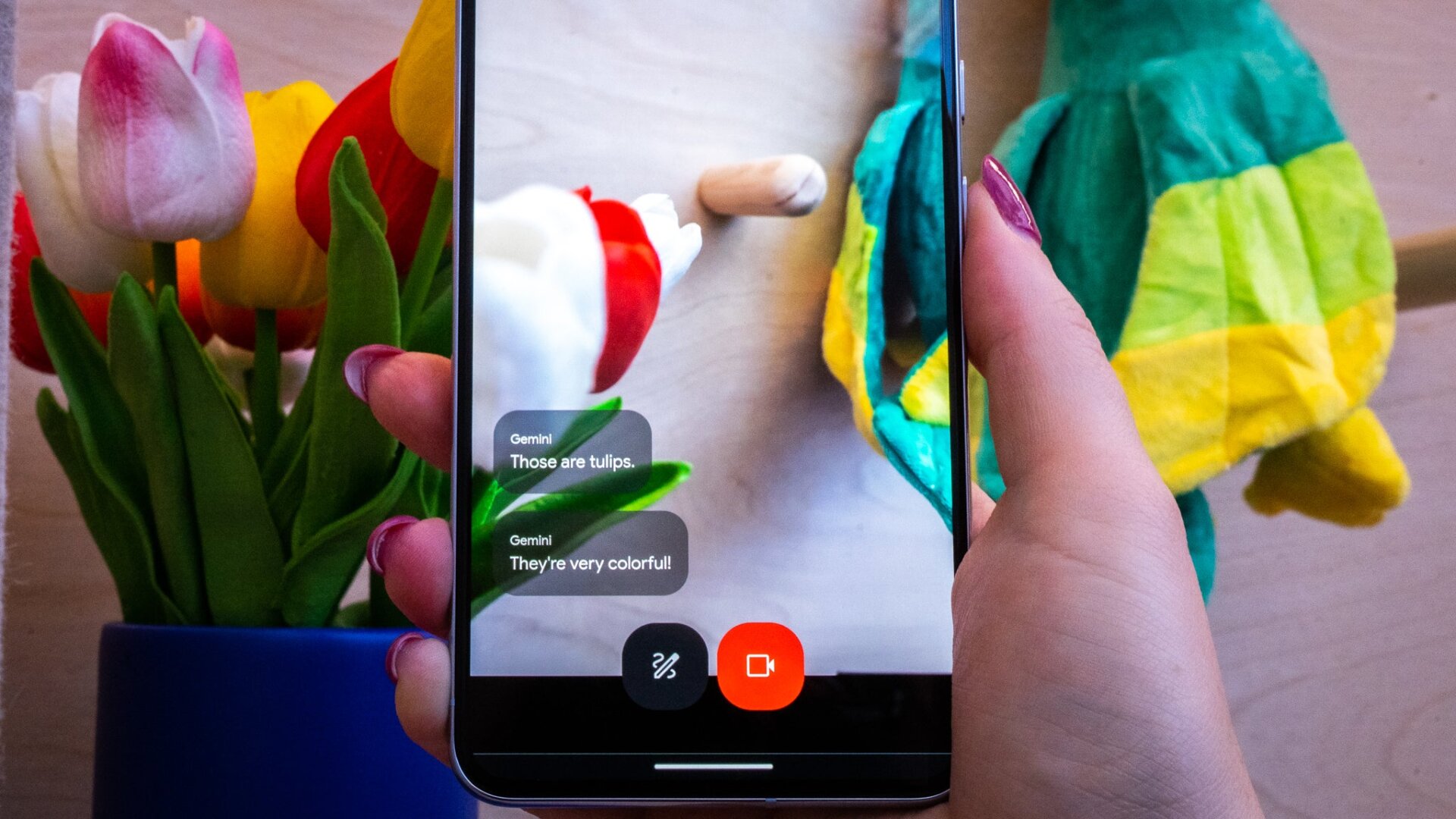 Les Gémeaux ont correctement identifié que les fausses fleurs étaient des tulipes. 