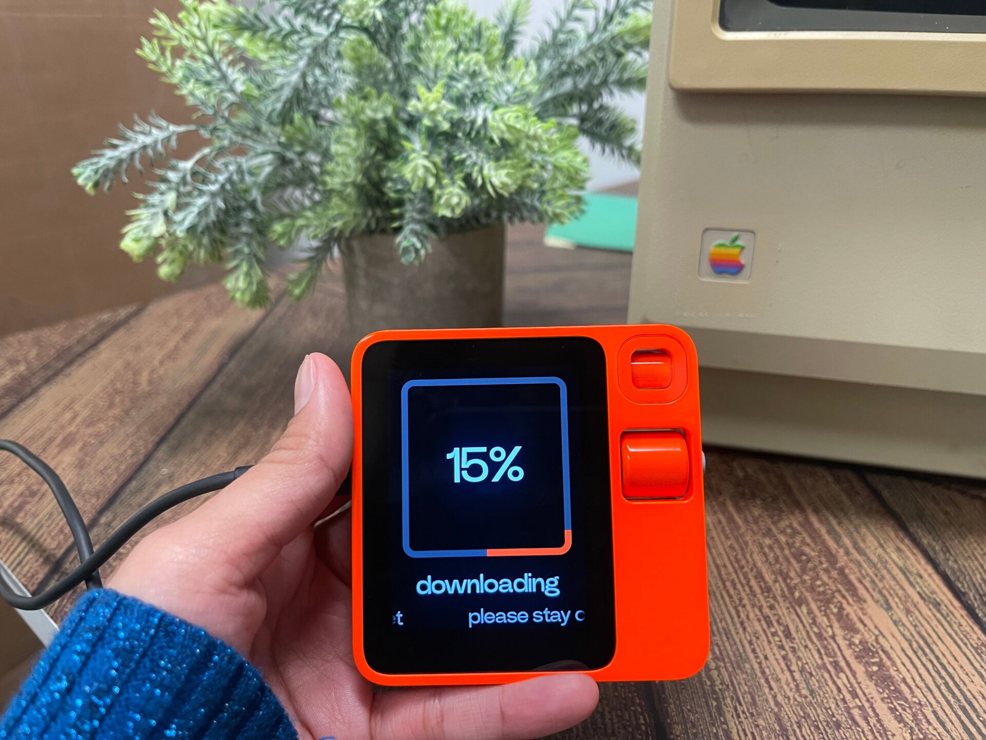 Photo: Dua Rashid / Gizmodo