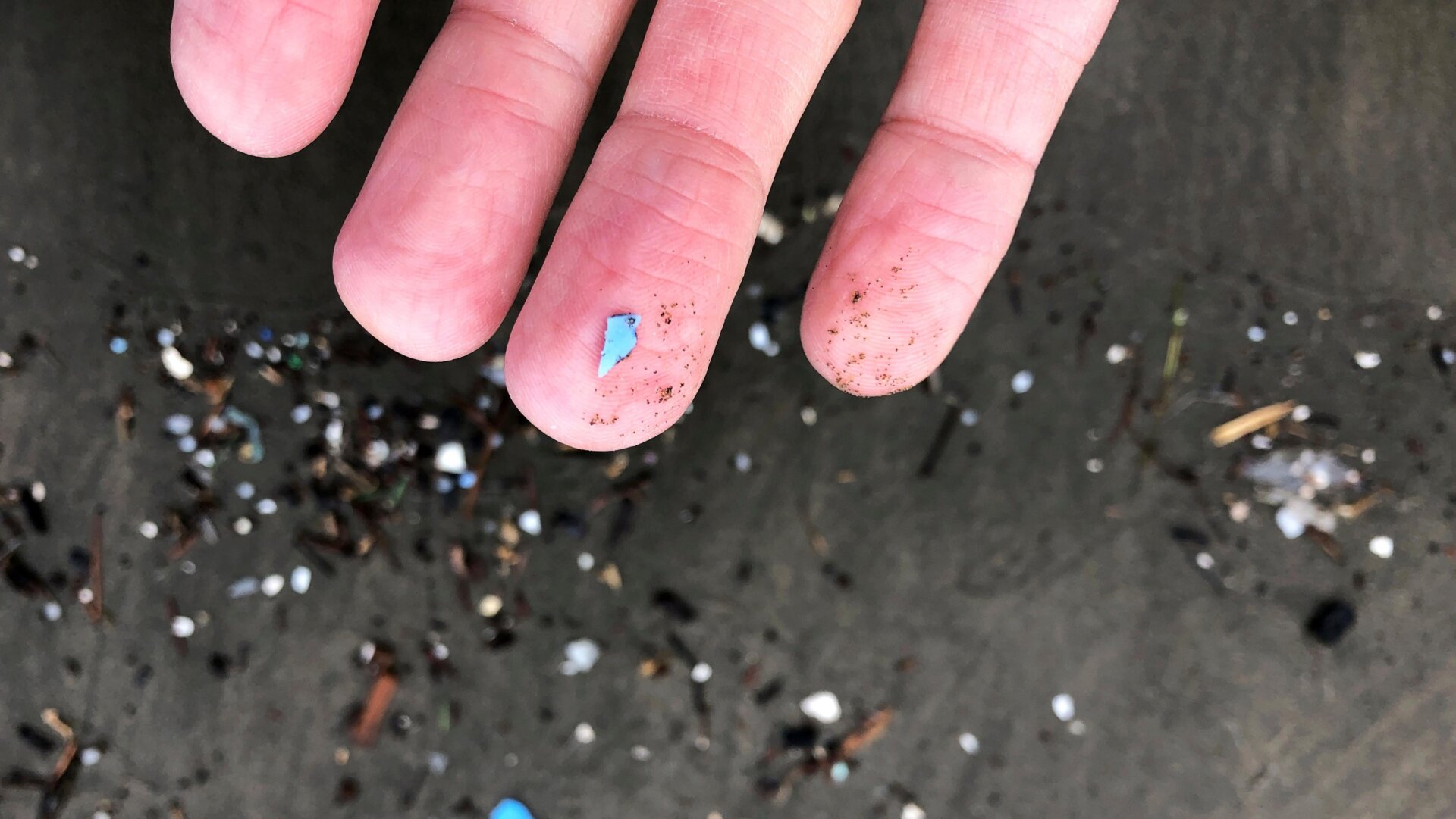 Débris de microplastiques qui ont échoué à Depoe Bay, Oregon le 19 janvier 2020.