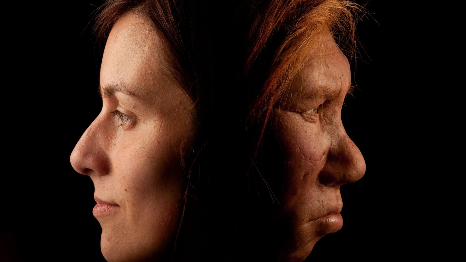 Une reconstruction d’une femme de Néandertal (à droite) et d’un humain moderne (à gauche).