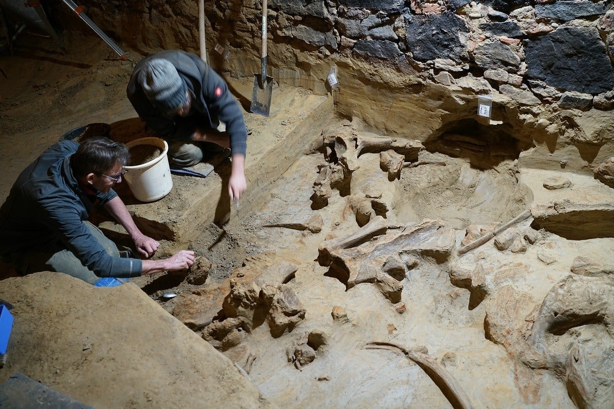 L’équipe au travail dans la cave. 