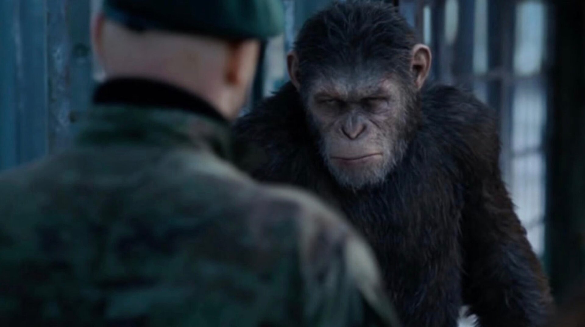Affrontement de César.