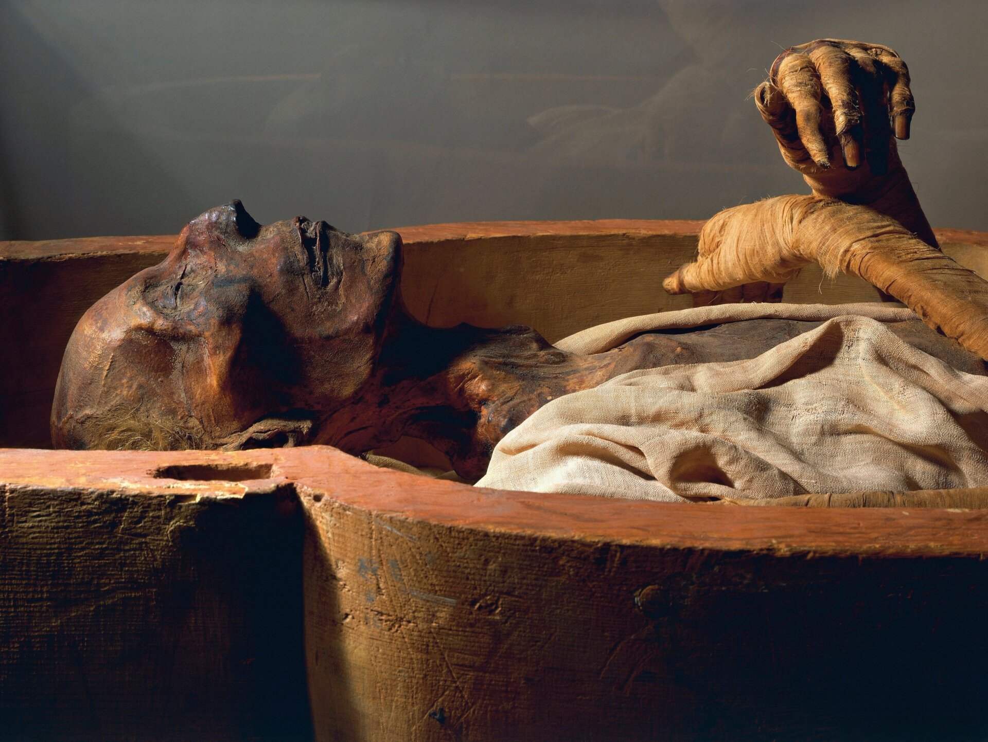 La momie de Ramsès II.