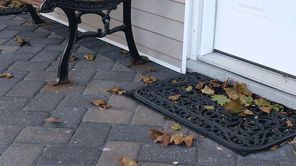 Feuilles dans la brise au Seabreeze Motel.