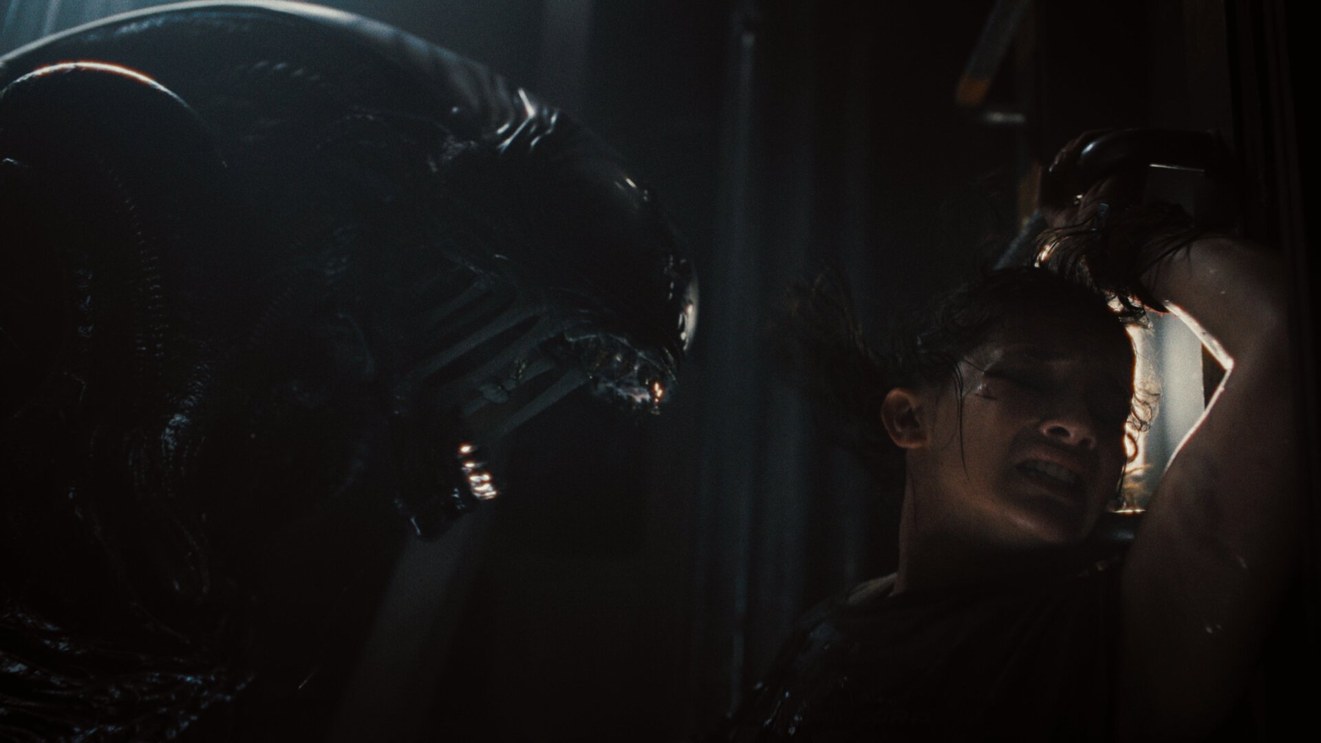 Extraterrestre : Romulus