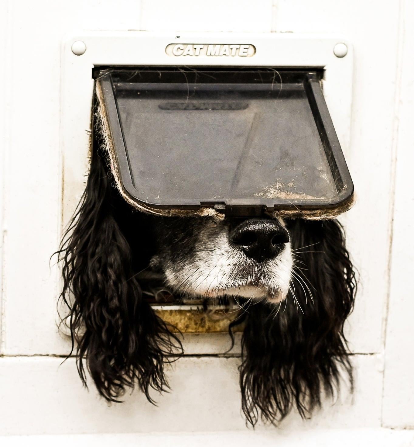 Photo: Sarah Haskell